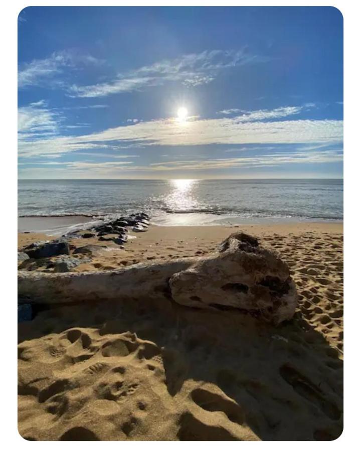 Les Pieds Dans L'Eau Acces Direct A La Plage La Cotiniere Exterior photo